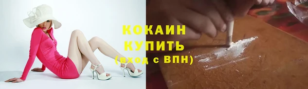 бошки Кодинск