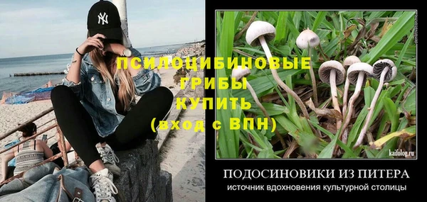 мдма Козельск