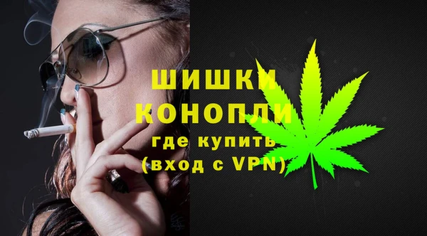 гашик Корсаков