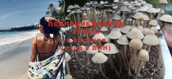 ALPHA-PVP Костерёво