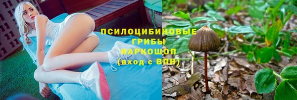 скорость Козловка