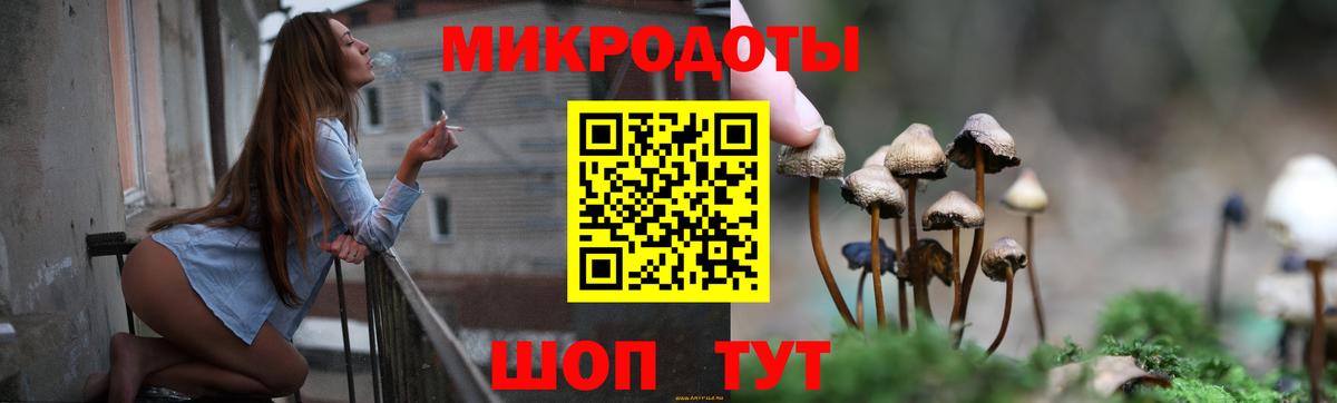 что такое   Галлюциногенные грибы мухоморы  Вход с VPN  Курчатов  Псилоцибиновые грибы Psilocybe 